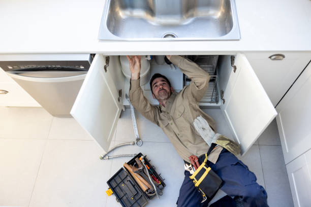 Best Residential Plumbing Services  in Southgate, MI